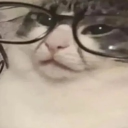 avatar FishDownPants