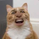 derbisa