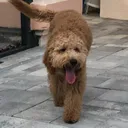 pablo_._pablo