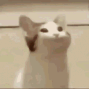 shadyfigure