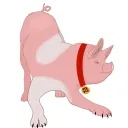 der_pigdog