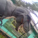 4sidey5910 avatar