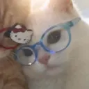 xxo.melodyy