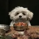 tacohell_