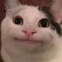 nariuss