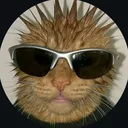 vanwijkdave