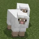 _isheep_