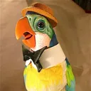 tontoloro
