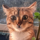 avatar Enderbronyasha