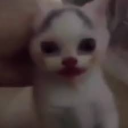 avatar Enderbronyasha