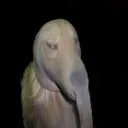 spoof.exe