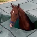 mytinsaw