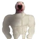 tommydee3