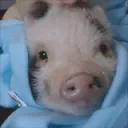 4512