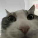 Ezekdg