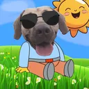 sto0000