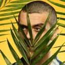 danparadis
