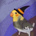 birbwizard