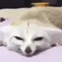 felix.aw