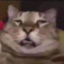 sambubba