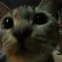 piupiu99