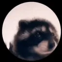 dansupp
