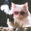 avatar 𝑨𝒏𝒏𝒊