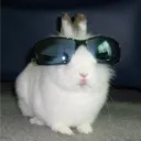 Image for eddydevv