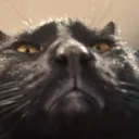 unknownjpeg5440