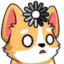 akatastrophii avatar