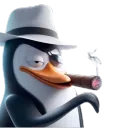 moldypenguins