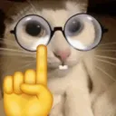 michelpingouin