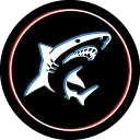 shark2381