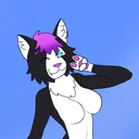 itzmidnightkitty
