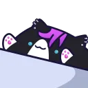 itzmidnightkitty