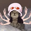 its.poot