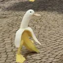 jakeparksplace
