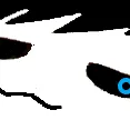 .nanowo.