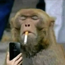 avatar headsh0t devon