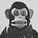 daszook