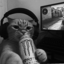 Discord Avatar