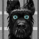 avatar toshimatigasulo