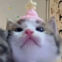 avatar Пташечка 🎩