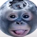ilomilodbd