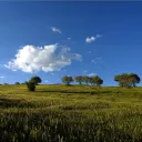 sarchia_
