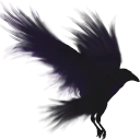 asmmargod
