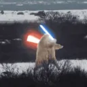 icecoldr6