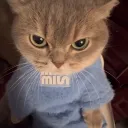 nick