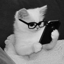 avatar starfall x bixby❀°