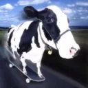 badcon